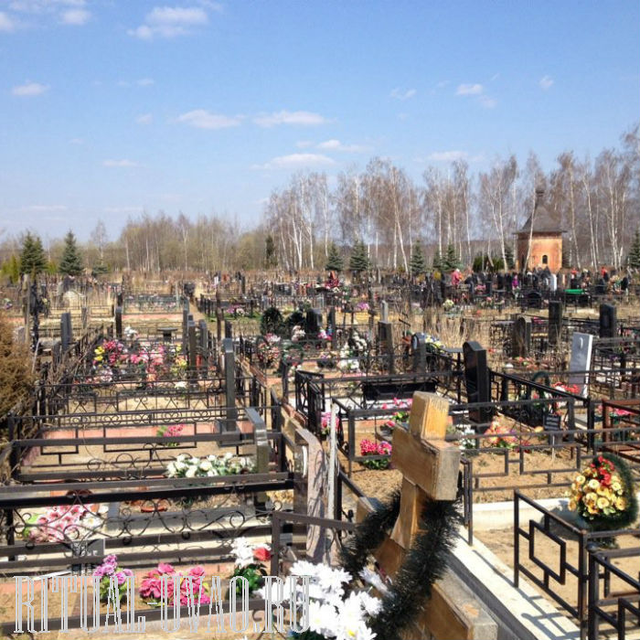 Заборьевское кладбище домодедово фото